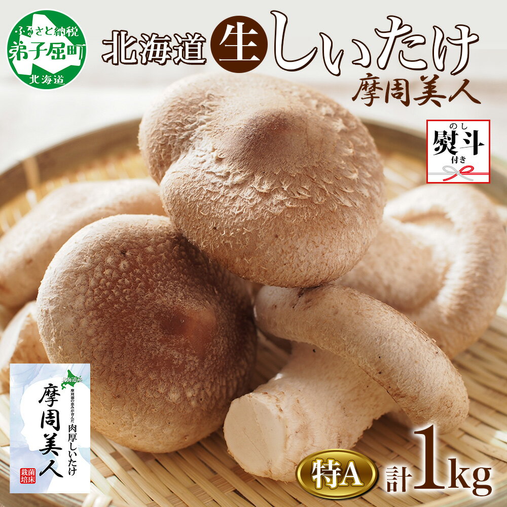 1950. 無地熨斗 しいたけ 特A 秀品 4パック 計1kg 摩周美人 シイタケ 椎茸 生しいたけ 生シイタケ きのこ キノコ 菌床栽培 大粒 肉厚 鍋 BBQ おかず 熨斗 のし 名入れ不可 送料無料 北海道 弟子屈町 12000円