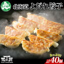 【ふるさと納税】 1812. よだれ餃子 10個入 4パック 計40個 餃子 ぎょうざ ギョウザ ギョーザ 生餃子 冷凍 中華 豚 肉 野菜 厚皮 きたほなみ ...