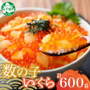 【ふるさと納税】 2979. 数の子・いくら 醤油漬け 100g前後 6パック 計600g 海鮮 海鮮丼 寿司 数の子 さけ いくら 鮭 しょうゆづけ イクラ 魚卵 おかず 人気 グルメ 贅沢 ギフト お歳暮 お中元 正月 お祝い 送料無料 北海道 弟子屈町