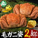 【ふるさと納税】2563. カニ 蟹 毛蟹 2尾 計800g前後 食べ方ガイド・専用ハサミ付 カニ かに 蟹 海鮮 ボイル キャンプ飯 バーベキュー BBQ 送...