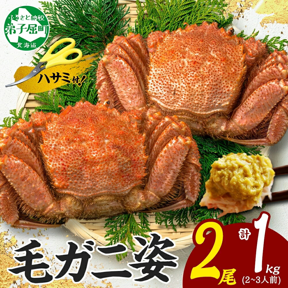 【ふるさと納税】3319. カニ 蟹 毛蟹 2尾 計1kg前後 食べ方ガイド・専用ハサミ付 カニ かに 蟹 海鮮 ボイル キャンプ飯 バーベキュー BBQ 送料...