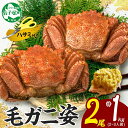 【ふるさと納税】2987. カニ 蟹 毛蟹 2尾 計1kg前後 食べ方ガイド・専用ハサミ付 カニ かに 蟹 海鮮 ボイル キャンプ飯 バーベキュー BBQ 送料...