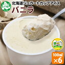 【ふるさと納税】 2329. くりーむ童話 カップアイス バニラ 100ml×6個 アイスクリーム アイス 手作り スイーツ おやつ ご褒美 デザート 牛乳 ミ...