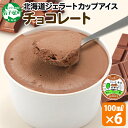 【ふるさと納税】 2330. くりーむ童話 カップアイス チョコレート 100ml×6個 チョコ アイスクリーム アイス 手作り スイーツ おやつ ご褒美 デザート 牛乳 ミルク 贈り物 gift ギフト プレゼント お取り寄せ 詰め合わせ 詰合せ 送料無料 北海道 弟子屈町