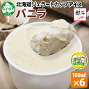 【ふるさと納税】 2341. 無地熨斗 くりーむ童話 カップアイス バニラ 100ml×6個 アイスクリーム アイス 手作り スイーツ おやつ ご褒美 デザート...