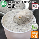【ふるさと納税】 2346. 無地熨斗 くりーむ童話 カップアイス ごま 100ml×6個 アイスクリーム アイス 黒ゴマ 胡麻 黒ごま 手作り スイーツ おや...