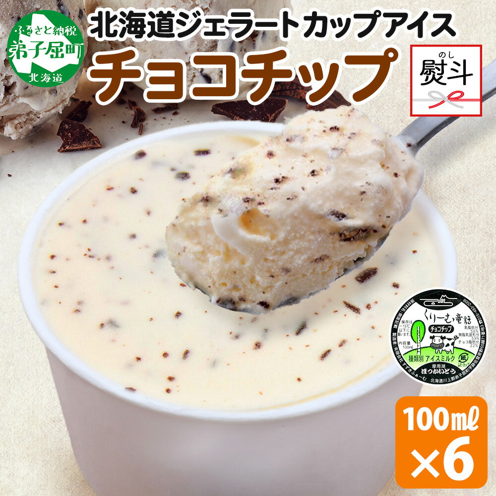 2347. 無地熨斗 くりーむ童話 カップアイス チョコチップ 100ml×6個 チョコレートチップ アイスクリーム アイス 手作り スイーツ ご褒美 デザート 牛乳 ミルク 贈り物 gift ギフト プレゼント お取り寄せ 詰め合わせ 詰合せ 送料無料 北海道 弟子屈町