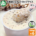 【ふるさと納税】 2347. 無地熨斗 くりーむ童話 カップアイス チョコチップ 100ml×6個 チョコレートチップ アイスクリーム アイス 手作り スイーツ...
