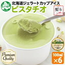 【ふるさと納税】 2349. 無地熨斗 くりーむ童話 カップアイス ピスタチオ 100ml×6個 ナッツ アイスクリーム アイス 手作り スイーツ おやつ ご褒...