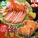 【ふるさと納税】3425. 紅ズワイ 蟹しゃぶ ビードロ 1kg 毛蟹 2尾 計700g前後 専用ハサミ・ガイド付き 紅ずわい 毛ガニ カニしゃぶ 蟹 カニ し...