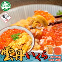 【ふるさと納税】2497. 無地熨斗 ウニ チリ産 冷凍 いくら 二色丼 うに 雲丹 イクラ 海鮮 海鮮丼 うに丼 いくら丼 いくら醤油漬け 熨斗 のし 名入れ...
