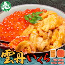 【ふるさと納税】 2498. 雲丹 100g いくら醤油漬け 200g うに さけ いくら しょうゆづけ 海鮮丼 冷凍 鮭 イクラ ウニ 雲丹 海鮮 手巻き寿司...
