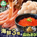 【ふるさと納税】2533. ズワイガニ ポーション 10本 ホタテ 貝柱 鱒 いくら醤油漬け 山わさび醤油漬け 各100g 蟹しゃぶ 生食 かに 蟹 ずわい蟹 ...