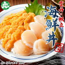 【ふるさと納税】 3208. うに 100g ホタテ 300g セット ファミリー ウニ チリ産 冷凍 雲丹 ほたて 生ほたて 帆立 貝柱 貝 冷凍 海鮮 海鮮...