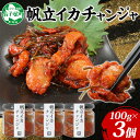 【ふるさと納税】2945. ホタテ・イカチャンジャ 100g×3個セット 瓶詰 小分け おつまみ ほたて ホタテ 帆立 いか イカ ピリ辛 旨辛 ご飯のお供 ごはんのお供 冷凍 数量限定 送料無料 ギフト 北海道 弟子屈町