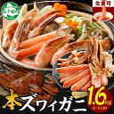 【ふるさと納税】 2995. 本ズワイガニ 蟹しゃぶ ビードロ セット 800g 2個 4-6人前 生食可 ズワイガニ ズワイ ずわい蟹 ずわいがに カニ 蟹 ...