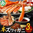 【ふるさと納税】 3000. 本ズワイガニ 蟹しゃぶ ビードロ セット 1kg 3個 9-12人前 生食 カット済 ずわい蟹 ズワイガニ カニ 蟹 かに 生 蟹...