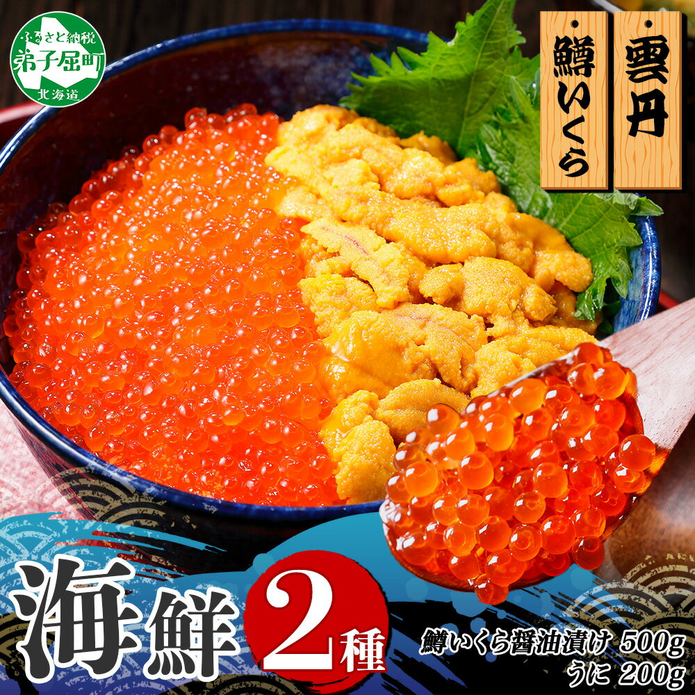【ふるさと納税】 3617. 2種 海鮮丼 鱒 いくら醤油漬け 100g×5 約5-6人前 ウニ チリ産 冷凍 雲丹 うに 100g×2 セット いくら イクラ...