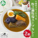 【ふるさと納税】 3021. ビーフ スープカレー 300g 2袋 カレー ビーフカレー スープ 牛 牛肉 放牧牛 牧場 レトルトカレー レトルト食品 レトルト...
