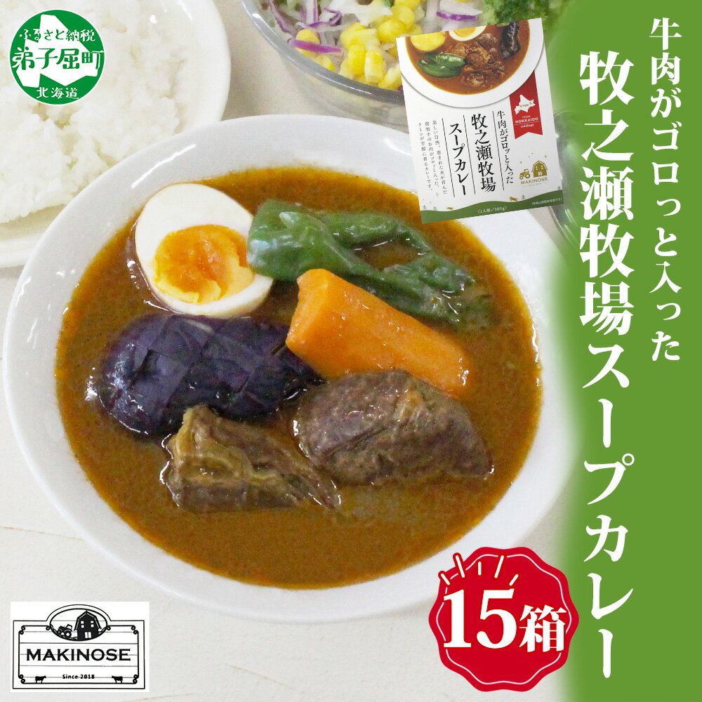【ふるさと納税】 3024. ビーフ スープカレー 300g 15箱 カレー ビーフカレー スープ 牛 牛肉 放牧牛 牧場 レトルトカレー レトルト食品 レトル...