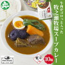 【ふるさと納税】 3027. 無地熨斗 ビーフ スープカレー 300g 10箱 カレー ビーフカレー スープ 牛 牛肉 放牧牛 牧場 レトルトカレー レトルト食...