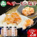 【ふるさと納税】 3112. サーモン塩辛 120g 2個 小分け サーモン 塩辛 鮭 さけ サケ いくら 漬け おつまみ アレンジ 海鮮 ご飯のお供 グルメ 冷凍 数量限定 送料無料 瓶 ギフト 贈り物 プレゼント 北海道 弟子屈町