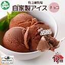 【ふるさと納税】3221. 牧之瀬牧場 自家製アイス チョコ 90ml 12個 アイス 氷菓子 チョコ味 チョコレート フレーバーアイス 牧場 手作り セット ...