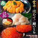 【ふるさと納税】 3430. 雲丹 100g ホタテ 200g 鱒いくら醤油漬け 100g 海鮮3種セット ウニ チリ産 冷凍 雲丹 鱒いくら いくら イクラ ...