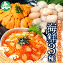 【ふるさと納税】 3431. 数の子 いくら醤油漬け 200g うに 200g ホタテ 300g ほたて 帆立 貝 さけ いくら 冷凍 鮭 イクラ 魚卵 海鮮丼 ウニ 雲丹 海鮮 醤油漬け 手巻き寿司 お取り寄せ グルメ 贅沢 ギフト 贈答用 お歳暮 お中元 正月 お祝い 送料無料 北海道 弟子屈町