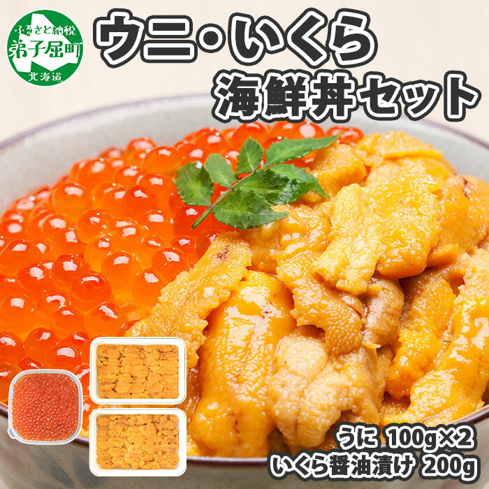 【ふるさと納税】1237.ウニ チリ産 冷凍 いくら 二色丼 うに 雲丹 厳選 イクラ 海鮮丼 うに丼 いくら丼 いくら醤油漬け 送料無料 20000円 北海道 弟子屈町