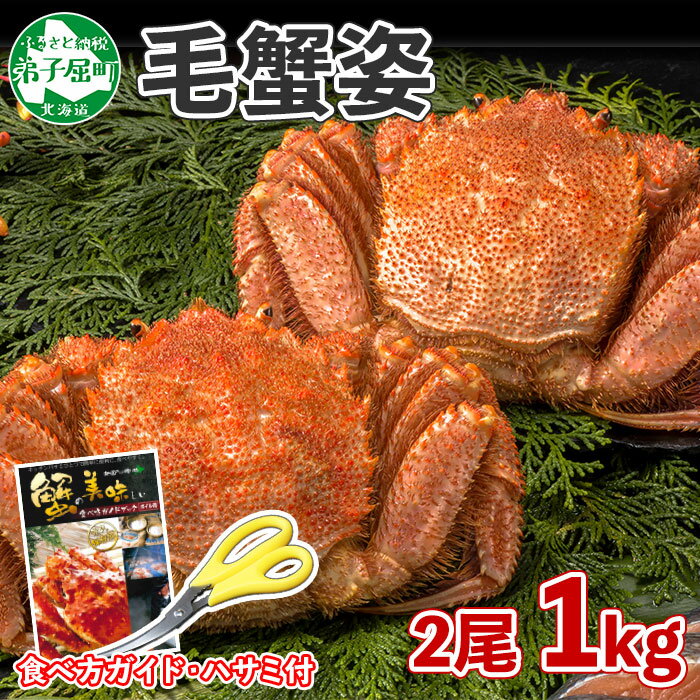 【ふるさと納税】1211. カニ 蟹 毛蟹 2尾 計1kg前後 食べ方ガイド・専用ハサミ付 カニ かに 蟹 海鮮 ボイル 送料無料 35000円 北海道 弟子屈町