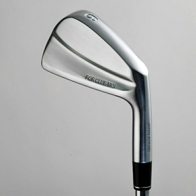 【ふるさと納税】1081. マッスルバックアイアン JCM-01BLADE 5-PW 6本セット ダイナミックゴールド シャフト ゴルフクラブ 600000円