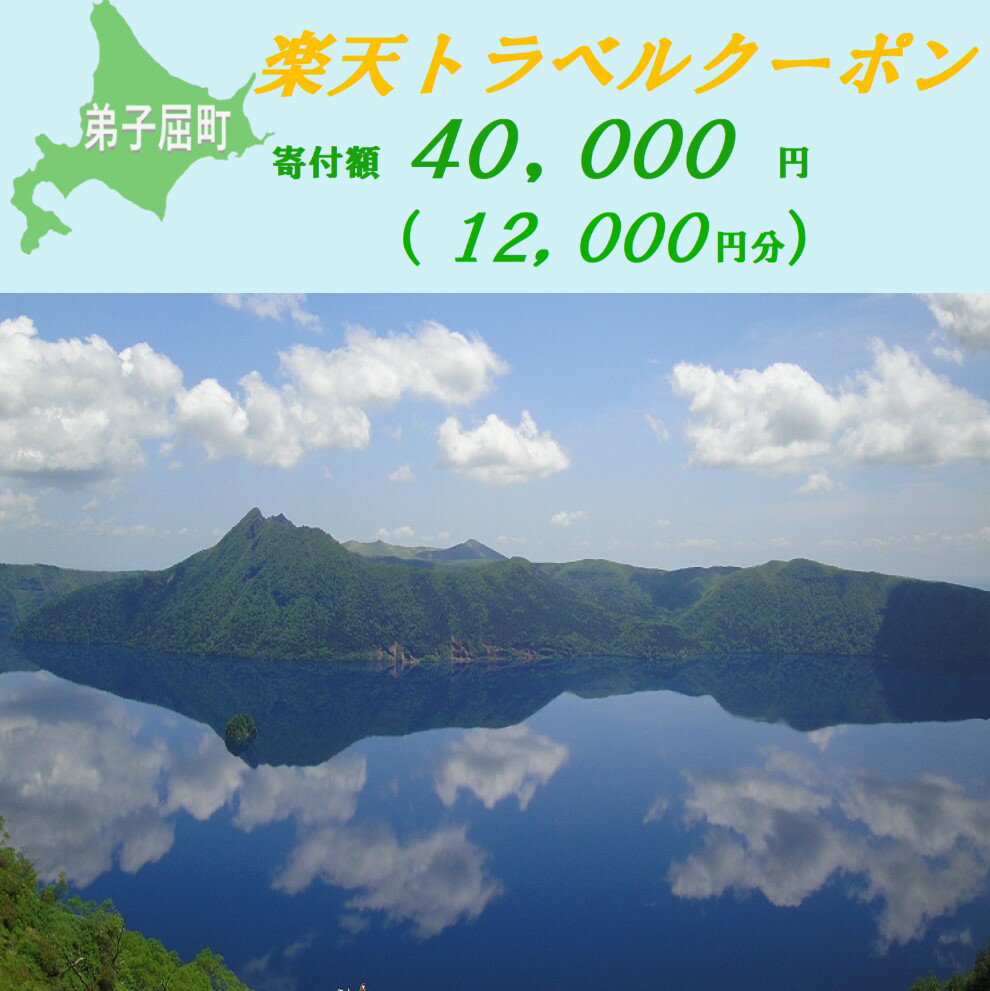 【ふるさと納税】【北海道ツアー】976.北海道弟子屈町の対象施設で使える楽天トラベルクーポン 旅行クーポン 北海道 旅行 北海道 宿泊セット 体験 寄付額40,000円 1