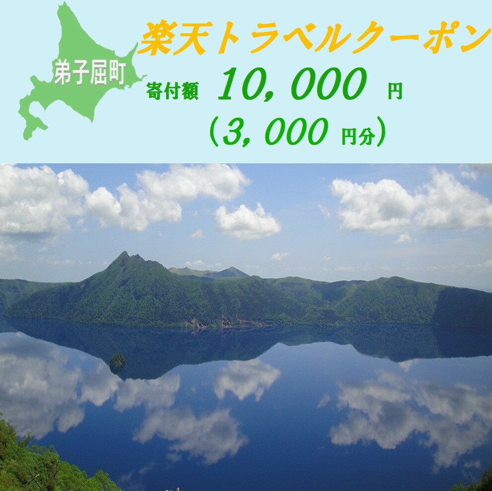 【ふるさと納税】【北海道ツアー】972.北海道弟子屈町の対象施設で使える楽天トラベルクーポン 旅行クーポン 北海道 旅行 北海道 宿泊セット 体験 寄付額10,000円