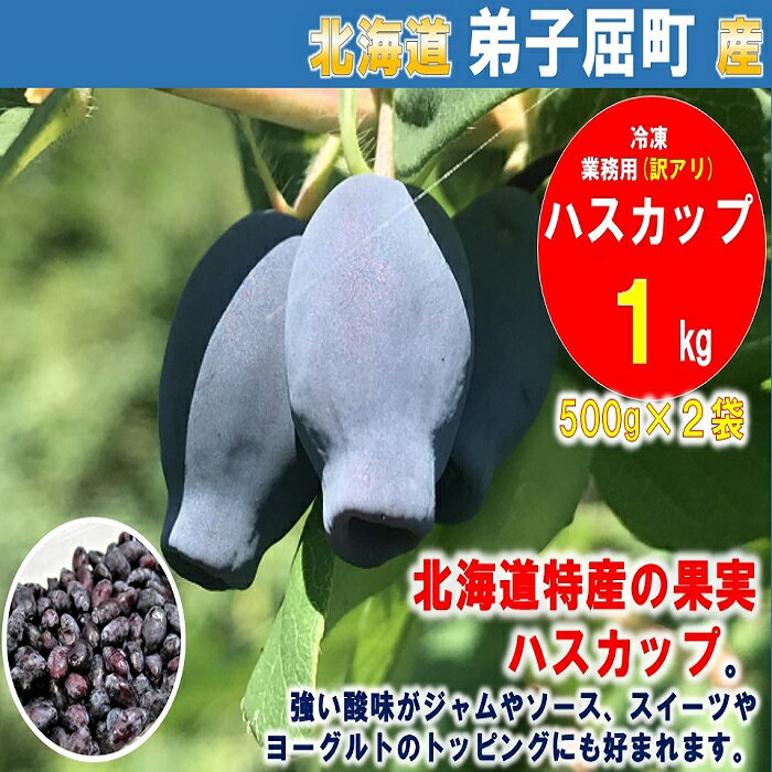 【ふるさと納税】1354.北海道特産の果実ハスカップ、業務用(訳あり)　1kg 11000円