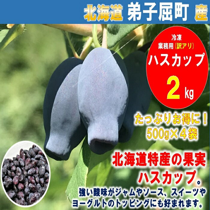 1355.北海道特産の果実ハスカップ、業務用(訳あり) 2kg 19000円