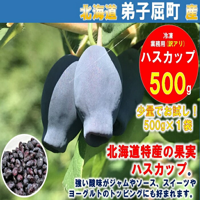 【ふるさと納税】1353.北海道特産の果実ハスカップ、業務用(訳あり) 6000円