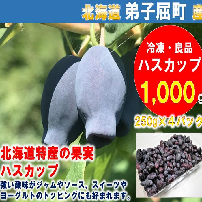 13位! 口コミ数「0件」評価「0」1860.北海道特産の果実ハスカップ（良品）1000g 12000円　冷凍　ハスカップ