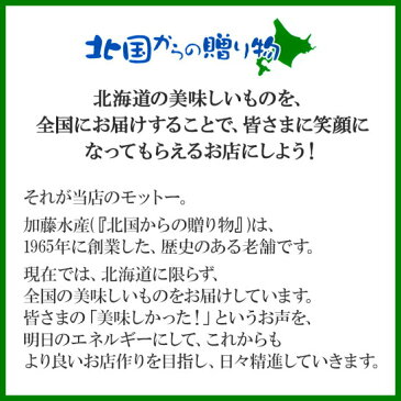 【ふるさと納税】34.幸せいっぱいの摩周ブルー中皿(1プレート) 食器/工芸品/民芸品/陶芸/北海道 弟子屈町 川湯温泉 5000円