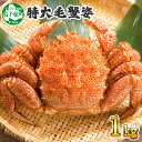 【ふるさと納税】 蟹 毛蟹 1kg かに カニ 毛ガニ 毛が...
