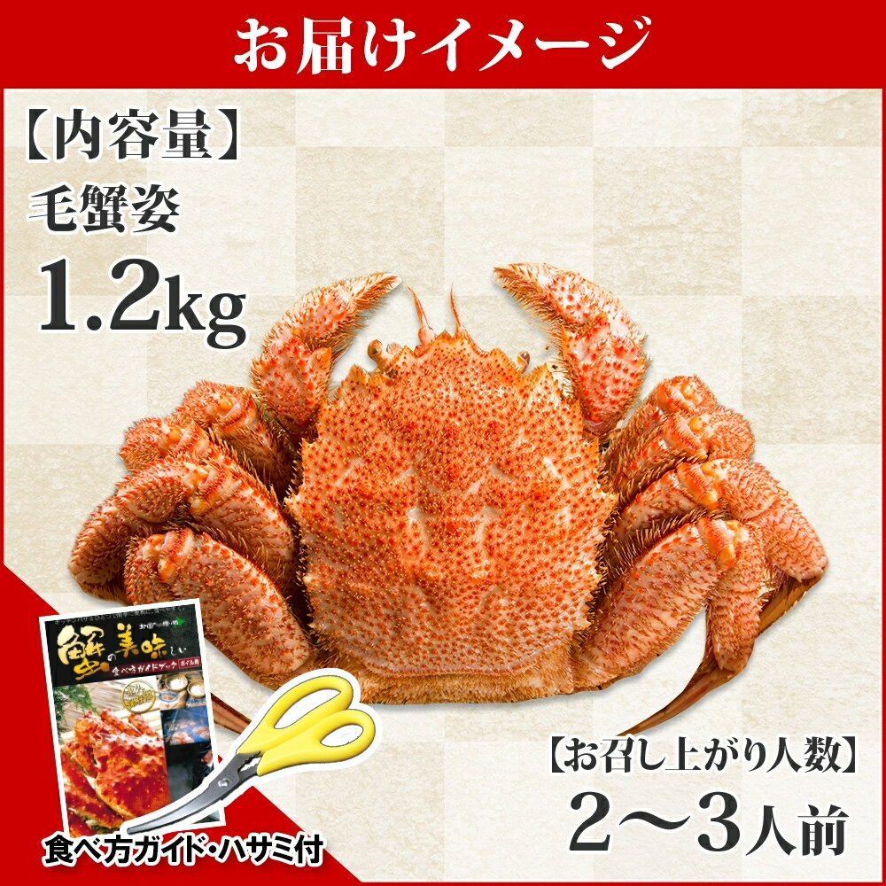 【ふるさと納税】 蟹 毛蟹 1.2kg前後 かに カニ 毛ガニ 毛がに 特大 蟹肉 ボイル 加藤水産 北国からの贈り物 弟子屈町 北海道