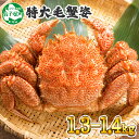 【ふるさと納税】 蟹 毛蟹 1.3-1.4kg前後 かに カ...