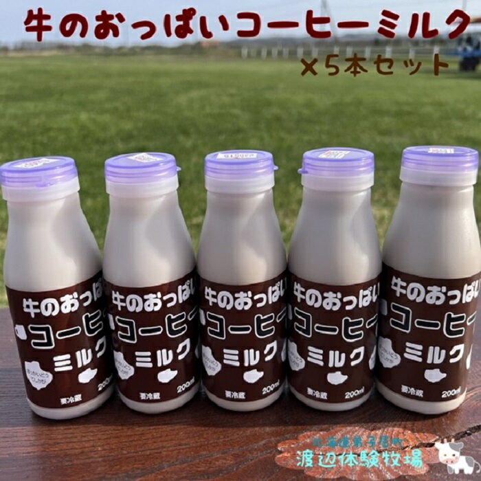 牛乳人気ランク7位　口コミ数「0件」評価「0」「【ふるさと納税】1852.牛のおっぱいコーヒーミルク5本セット」