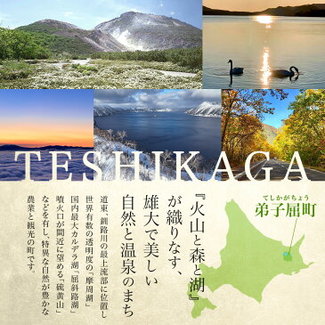 ■定期便■【ふるさと納税】プレミアム北海道なまらうめぇ頒布会 グルメ ご当地 北海道加工 海鮮重 ズワイガニ ずわい 毛蟹 毛ガニ いくら醤油 蟹 かに カニ しゃぶしゃぶ 海鮮 加藤水産 北国からの贈り物 弟子屈町