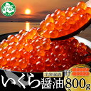 【ふるさと納税】 2922. いくら醤油 80g×10個 北海道産 イクラしょうゆ漬け 小分け いくら イクラ 海鮮 魚介 魚卵 鮭 サケ しゃけ 寿司 海鮮丼...