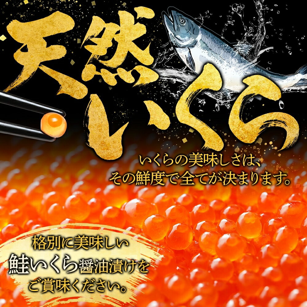 【ふるさと納税】 1234.いくら醤油 80g×10個 いくら醤油漬け イクラしょうゆ漬け いくら イクラ 海鮮 魚介 魚卵 送料無料 45000円 北海道 弟子屈町