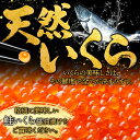 【ふるさと納税】 1234.いくら醤油 80g×10個 いくら醤油漬け イクラしょうゆ漬け いくら イクラ 海鮮 魚介 魚卵 送料無料 45000円 北海道 弟子屈町 2