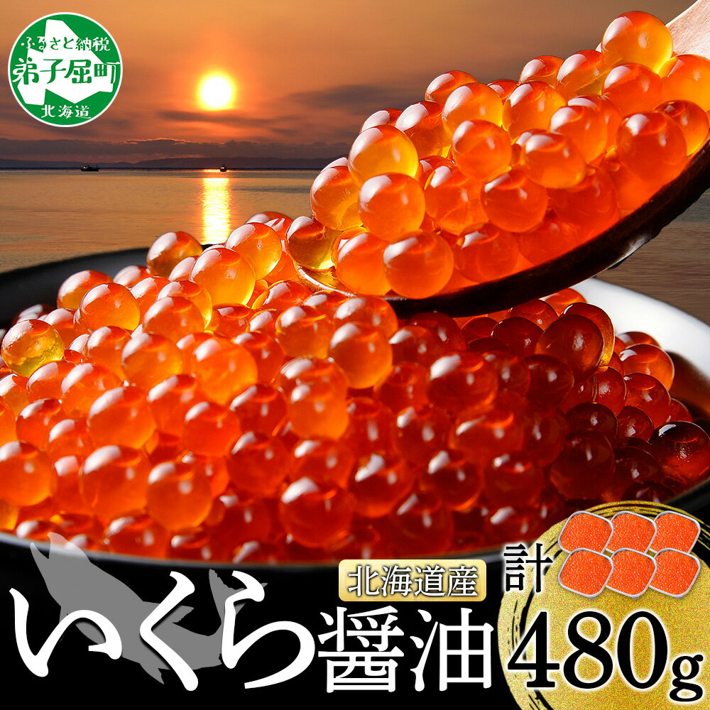 2484.いくら醤油 80g×6個 いくら醤油漬け イクラしょうゆ漬け いくら イクラ 海鮮 魚介 魚卵 送料無料 27000円 北海道 弟子屈町