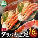 【ふるさと納税】 1735. カニ 蟹 ボイルタラバ足 800g×...