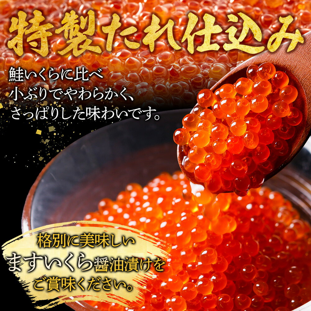 【ふるさと納税】1378. 鱒いくら醤油漬け 計200g 100g×2パック 鱒 マス いくら イクラ 醤油漬け 魚卵 海鮮 送料無料 北海道 弟子屈町 9000円